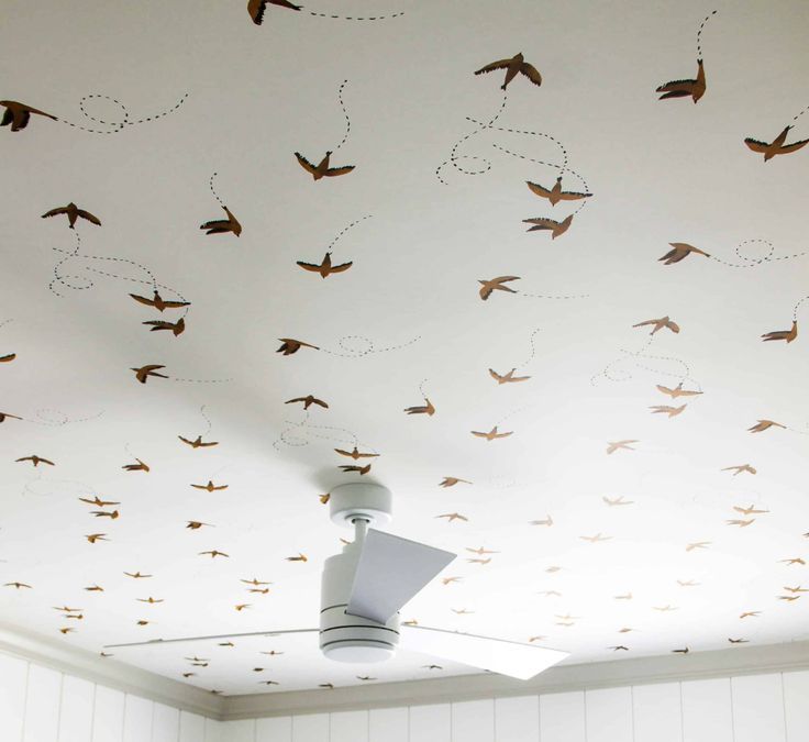 Ceiling wallpaper dealer in mumbai ceiling wallcovering dealer in mumbai